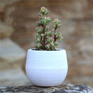 Creative Flower Pots Artificial Plants Small Tree Pot Plants Fake Flowers Potted Ornaments Planter for Home Hotel Garden Decor